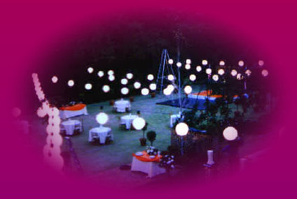 artelexmain004002.jpg
